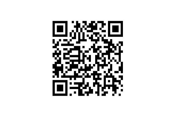 Wahlportal für mobile Endgeräte